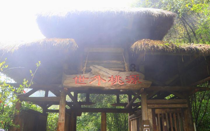 机器人罗博